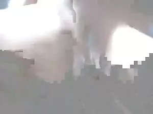 أمي حلب لا تعد ولا ت ...