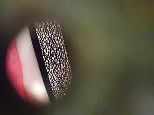 قبض مثليون جنسيا سكس ...