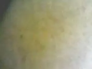 سلوتي الفتيات strapo ...
